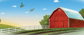 Alice Tebo - back to school with organic valley