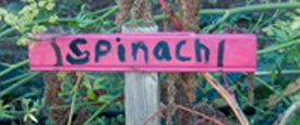 Lisa Bennett - Responding to the School Garden Debate