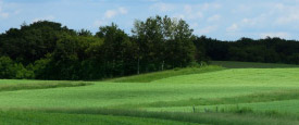 Dan Imhoff - Food Fight: The 2007 Farm Bill