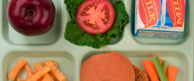 Janet Poppendieck - A New Agenda for School Food