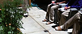 center for ecoliteracy - it brings us to a peaceful place