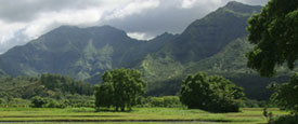 alice tebo - hawai'i school gardens