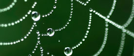 center for ecoliteracy - systems thinking