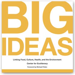 Big Ideas Book Cover Big Ideas: Linking Food, Culture, Health, and the Environment