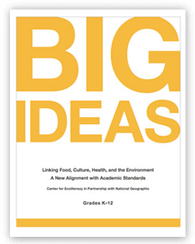 Big Ideas: A New Alignment with Academic Standards