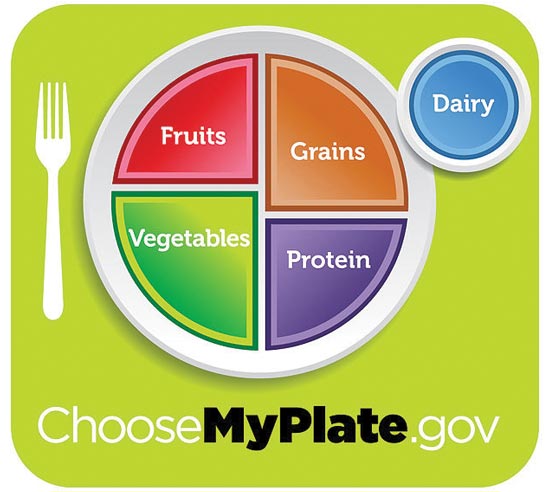 karen brown - USDA MyPlate Graphic Supports Rethinking School Lunch Suggested Portions