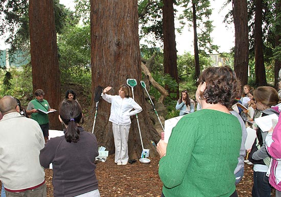 June seminar - Dr. Sly in the woods