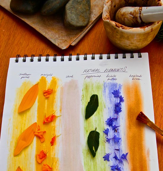 July seminar - natural pigments