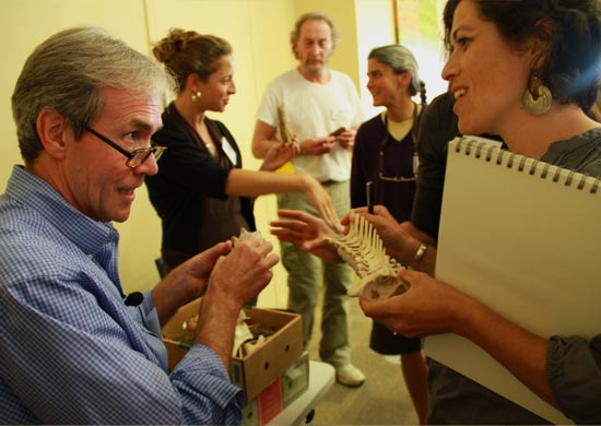July seminar - biomimicry