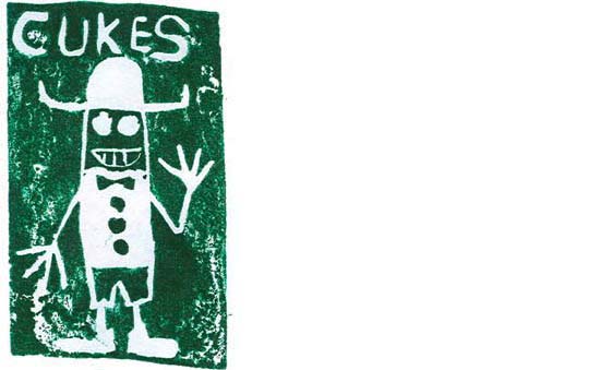 Troy Howard cukes seed packet