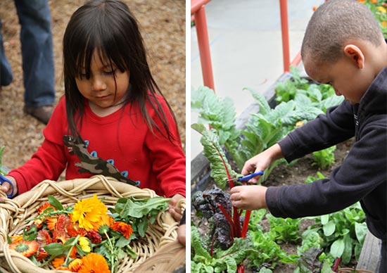 center for ecoliteracy - Migrating the Food Lab Program: From Davenport to Pescadero center for ecoliteracy - Migrating the Food Lab Program: From Davenport to Pescadero
