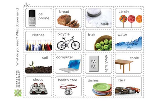 Needs vs wants examples