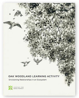 Oak Woodland Activity