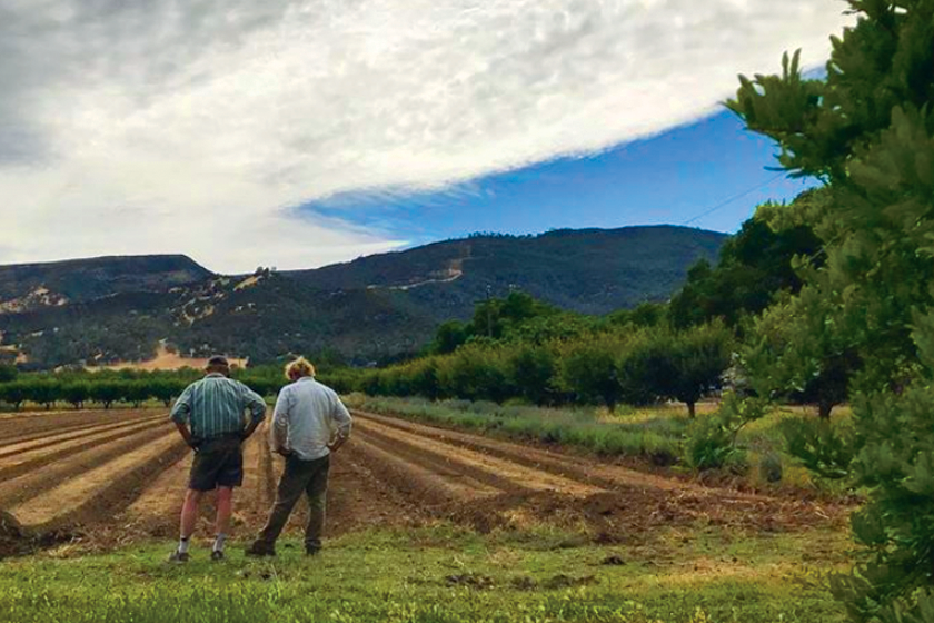 California s Climate Smart Farms Activities Ecoliteracy