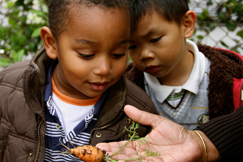 students looking at freshly picked carrot