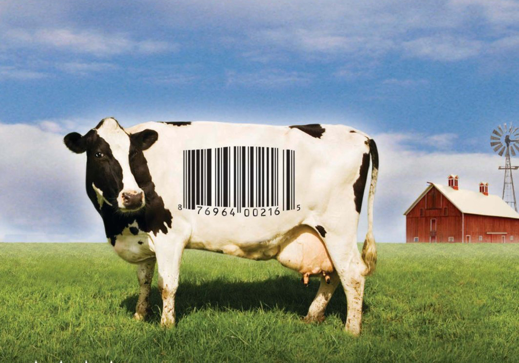 Food, Inc. Discussion Guide  ecoliteracy.org Inside Food Inc Movie Worksheet Answers