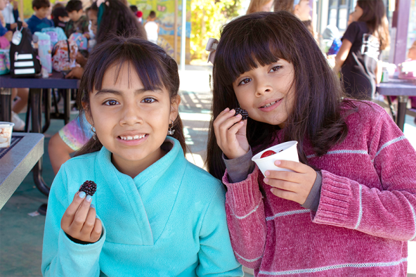 two students taste test berries