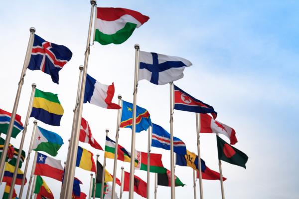 The Ecological Worldview: Hearing the Cries of the World