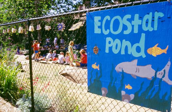 EcoStars: Enabling Students to Become Environmental Stewards