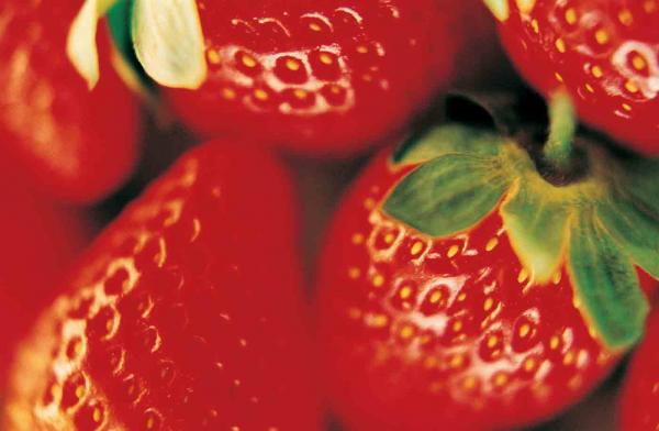 The best advice you’ll get on how to implement a farm-to-school program.