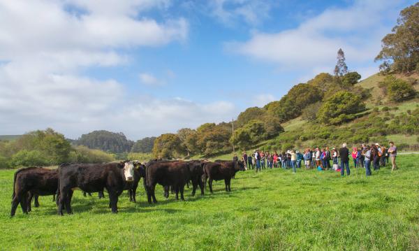 Climate-Smart Ranching: An Interview with Kat Taylor and Wendy Millet