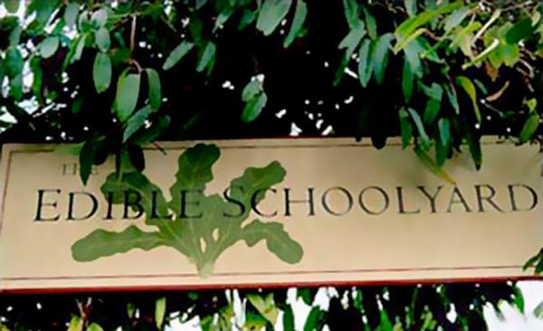 The Edible Schoolyard