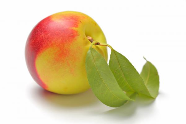California food service directors presented with innovation awards