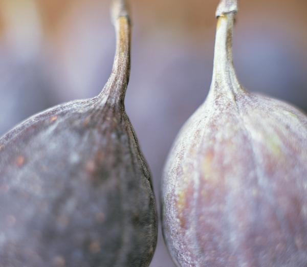 Alice Waters applies a ‘Delicious Revolution’ to school food