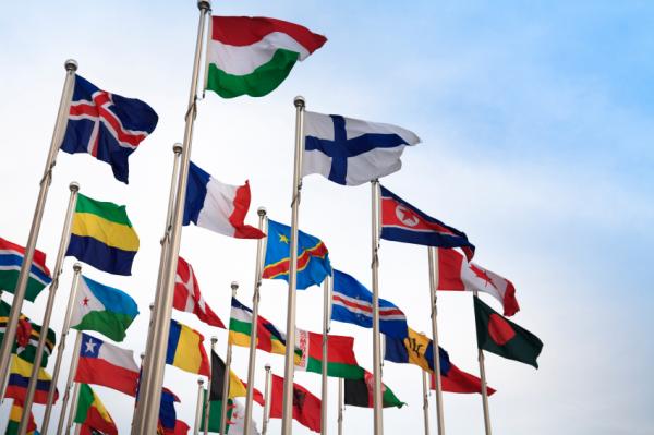 The Ecological Worldview: Hearing the Cries of the World