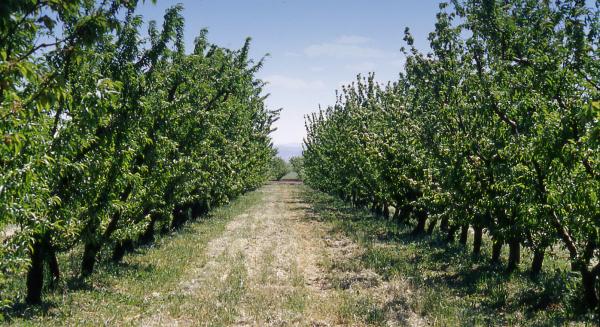 Farming for the future