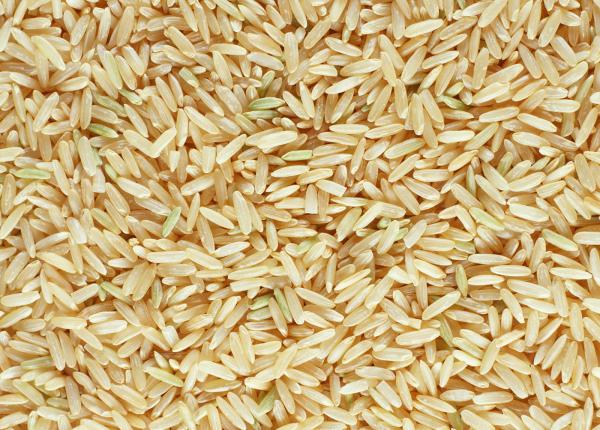 Fossil Food: Consuming Our Future