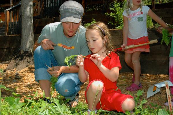 greening a K-12 Curriculum
