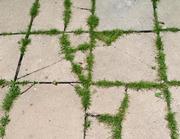 Life and Leadership for a Sustainable Community