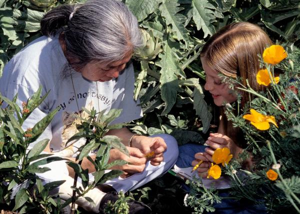 The One Ingredient to Turn a Good School Into a Great School