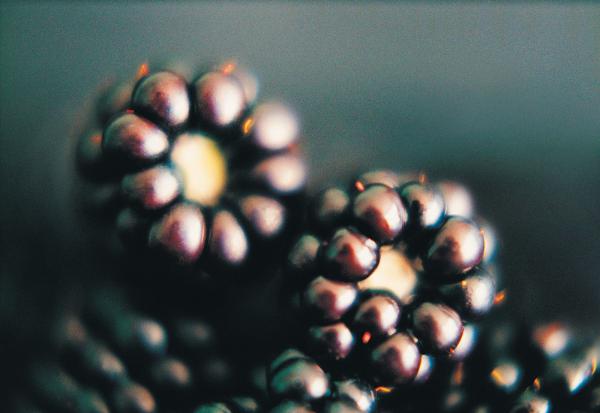 The Hot Button Issue of School Food and Strategies for Change