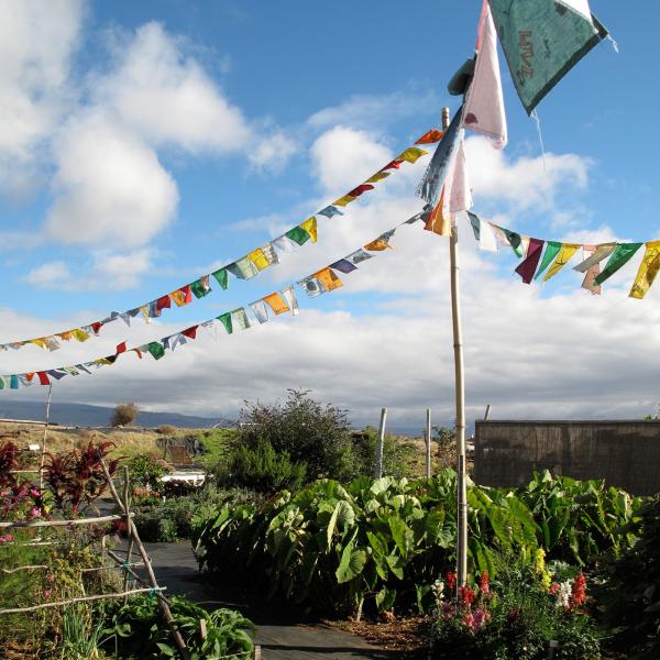 Supporting the growing school garden movement in Hawai’i