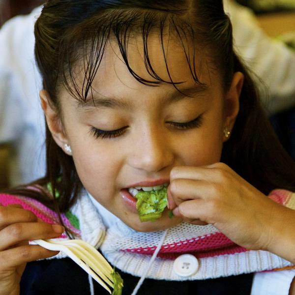 School Lunch Initiative Evaluation