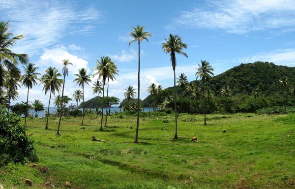 Solutions That Serve People and the Environment