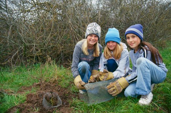 straw students and teachers restoring a watershed