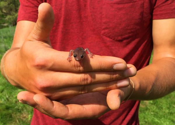 From a Fourth-grader's Question to 500 Habitat Restorations