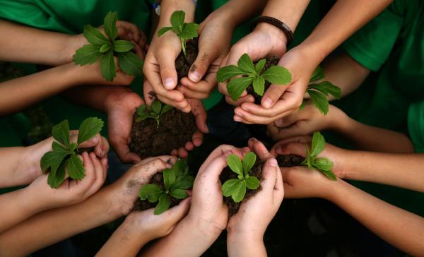 What Comes after Diversity, Globalism, and Sustainability?
