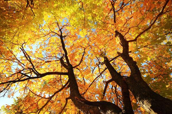 Why Should Schools Model Sustainable Practices?