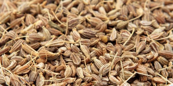 The World's Flavor Profiles