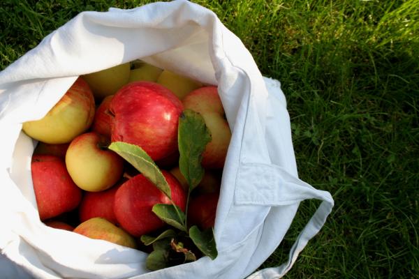 Neither Paper nor Plastic: Eating Outside the Lunch Box