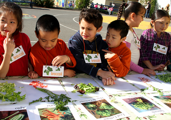 Produce Lesson for Students on Broccoli Team