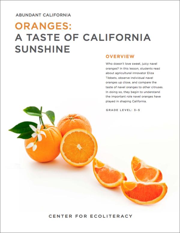 Abundant California Oranges