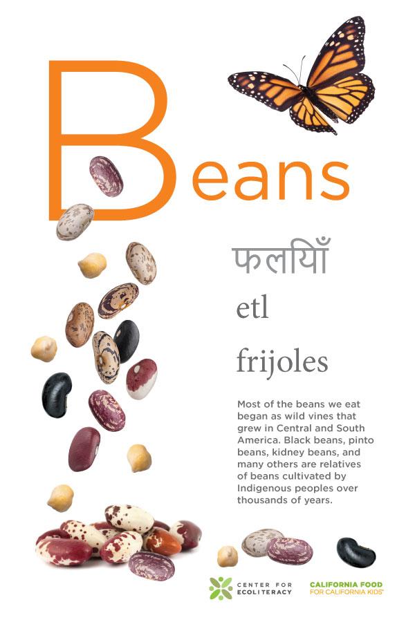 beans poster