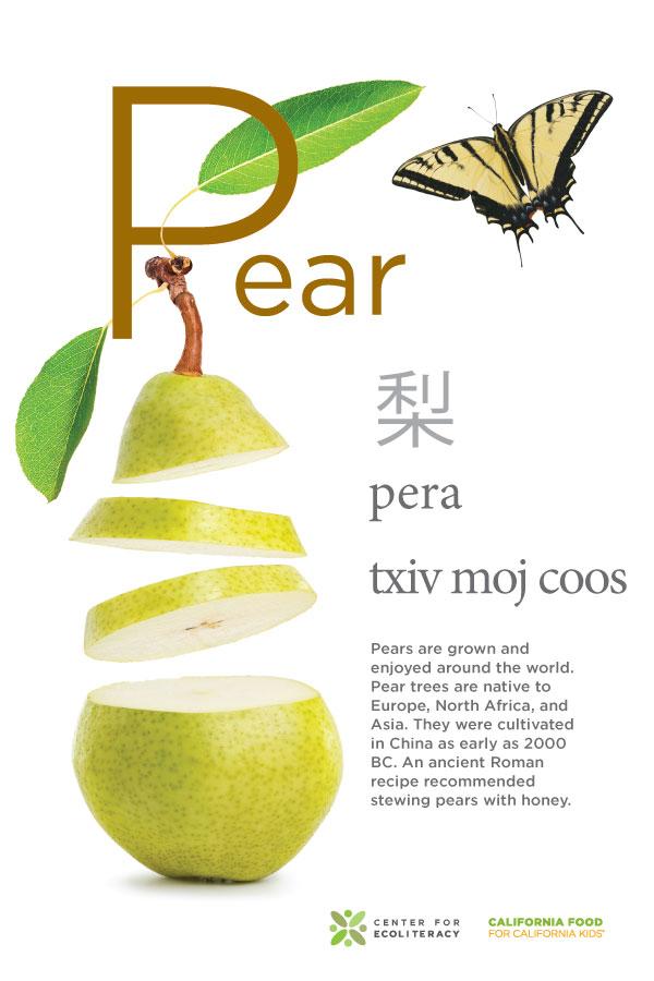 pear poster