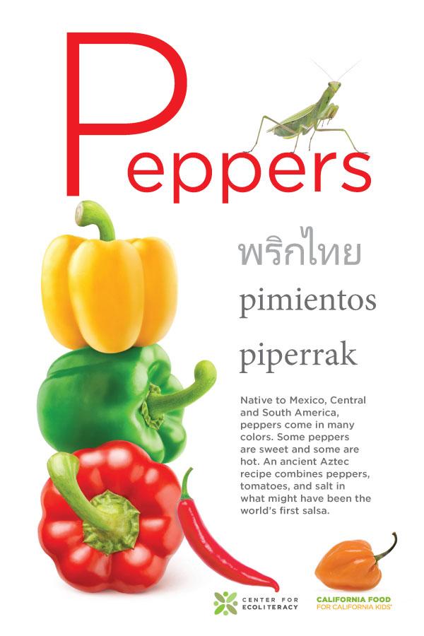 peppers poster