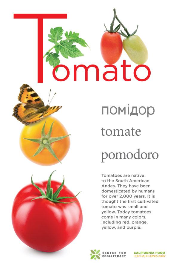 tomatoes poster